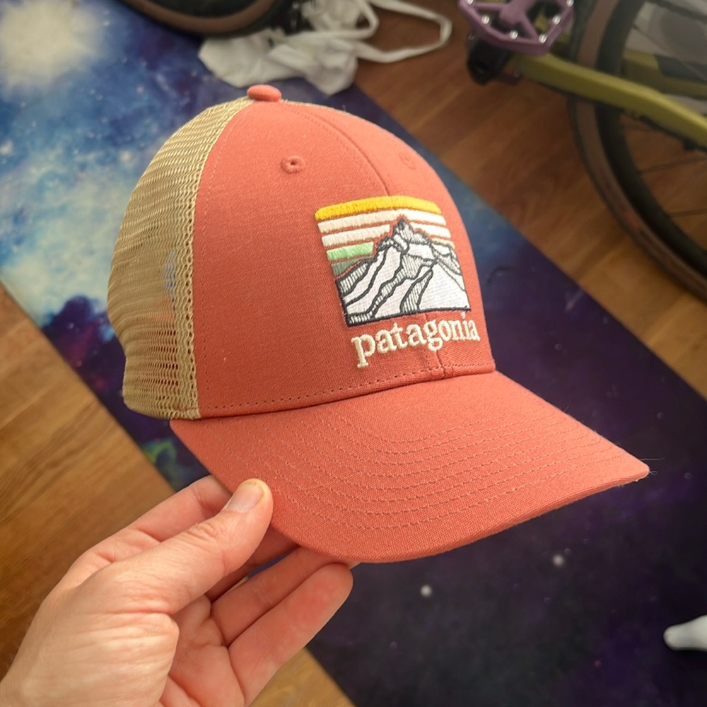Patagonia Trucker Hat